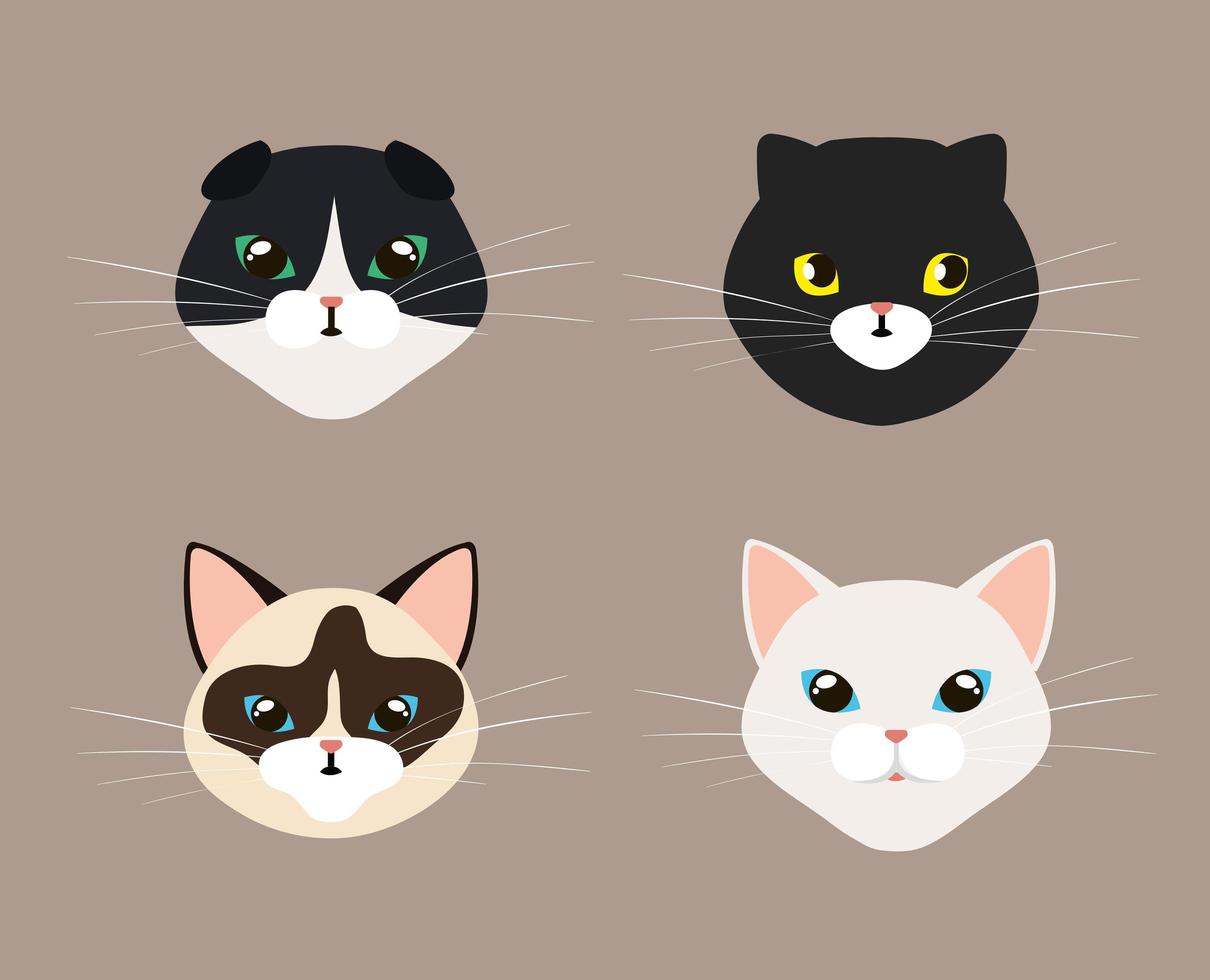 set faces of cute cats vector