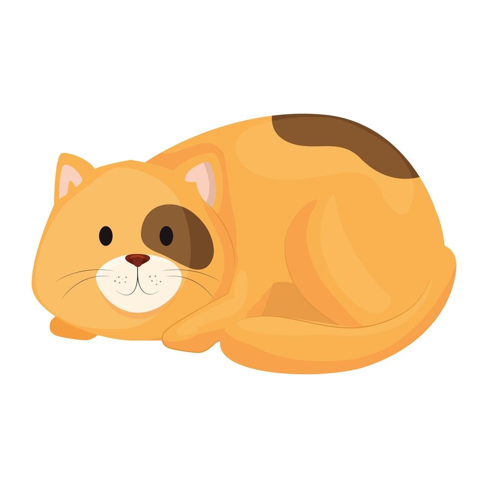 cute little cat animal icon vector