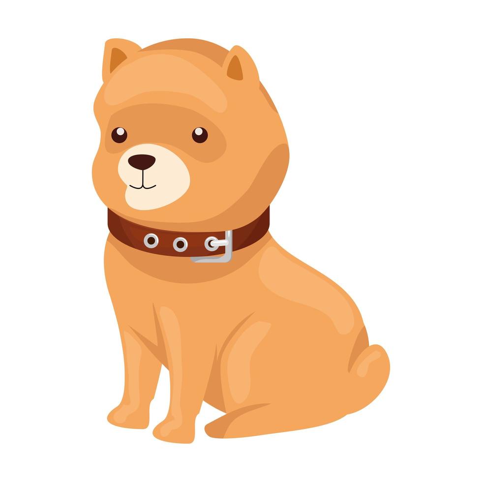 lindo perro animal icono aislado vector