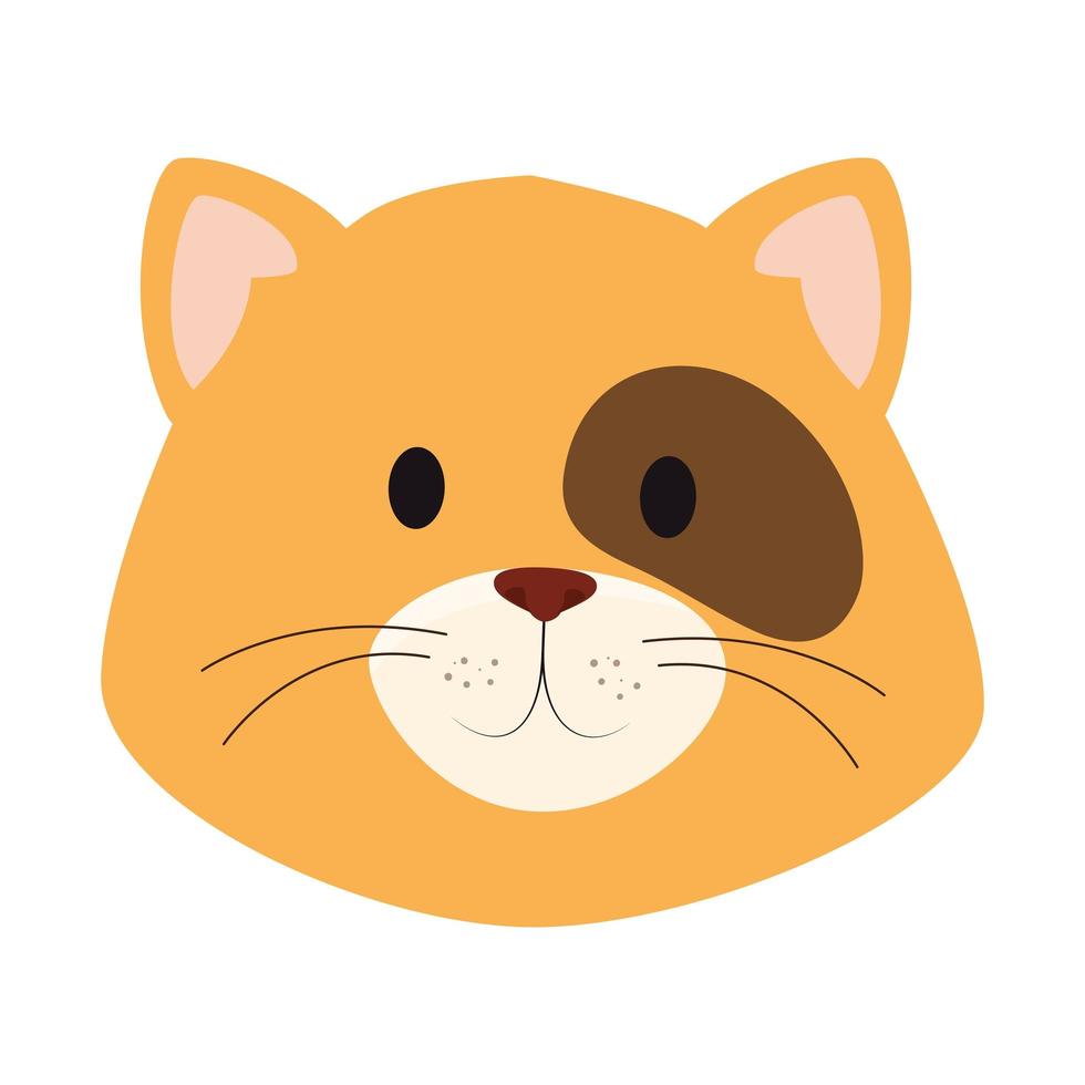 face of cute little cat animal icon vector