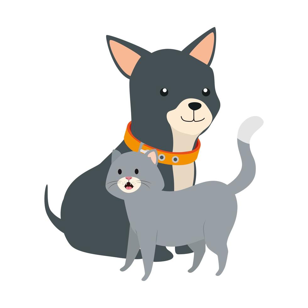 Lindo gato y perro animales icono aislado vector