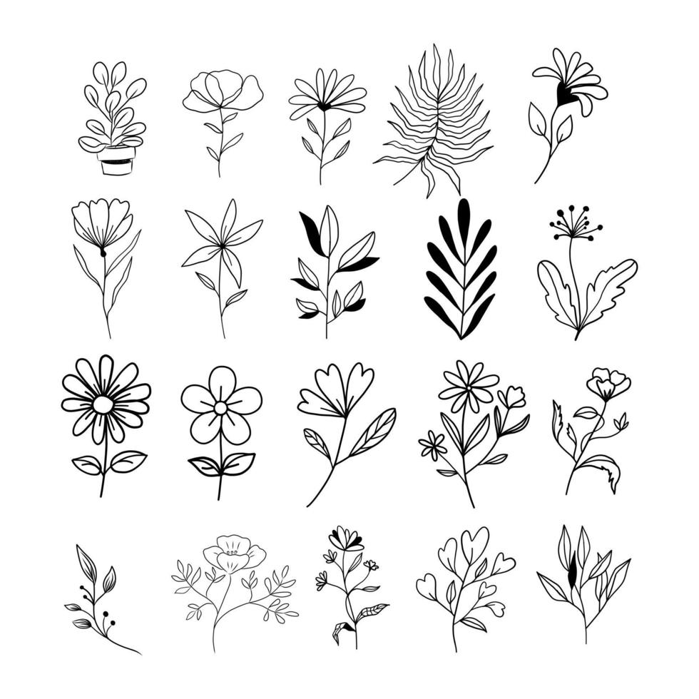 Botanical line art floral leaves collection. Set of plants. Hand drawn sketch branches isolated on white background. Vector illustration