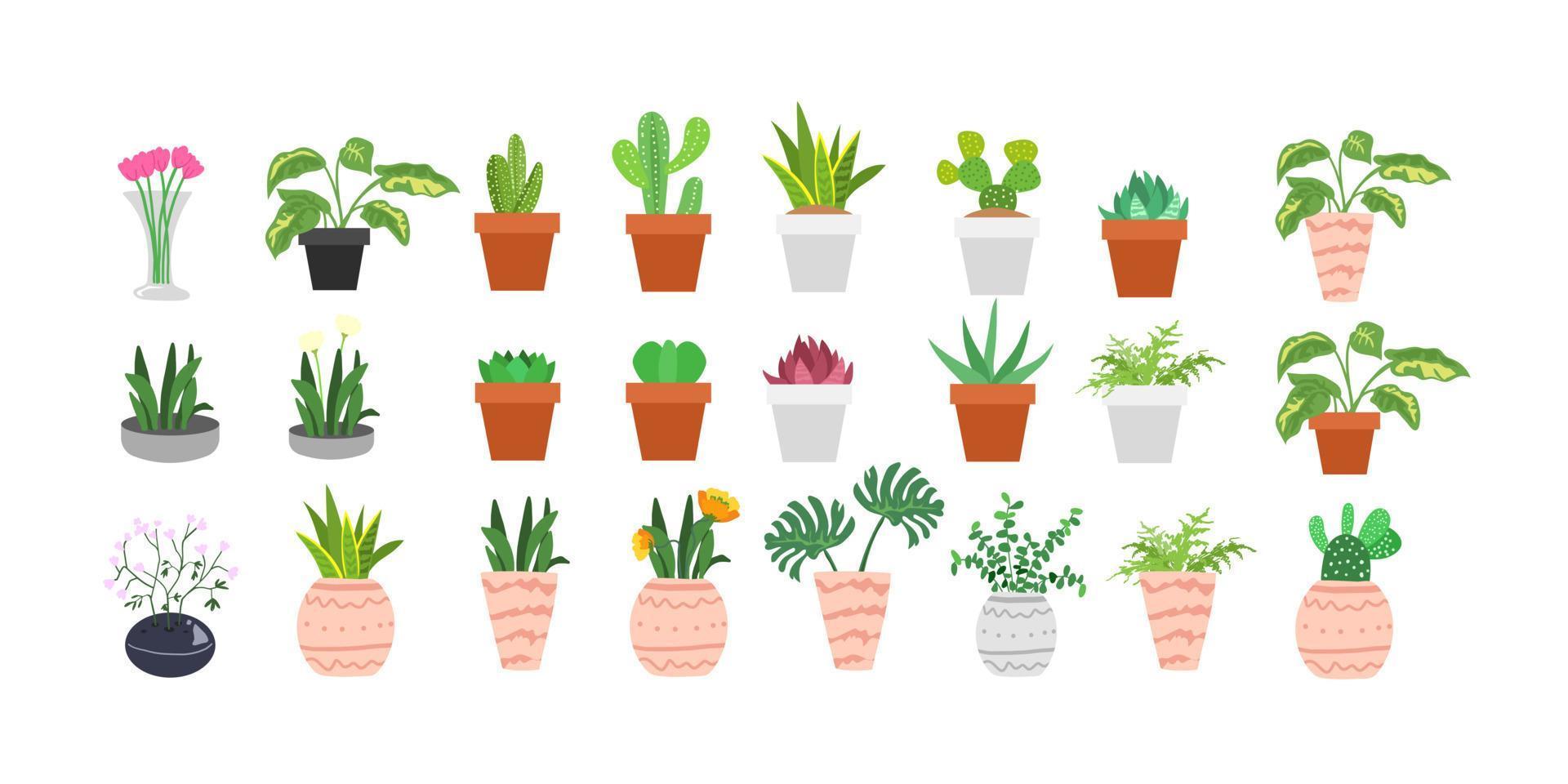 Cactus and succulents set. Cute green cactus in flower pots Vector hand drawn isolated. Illustration