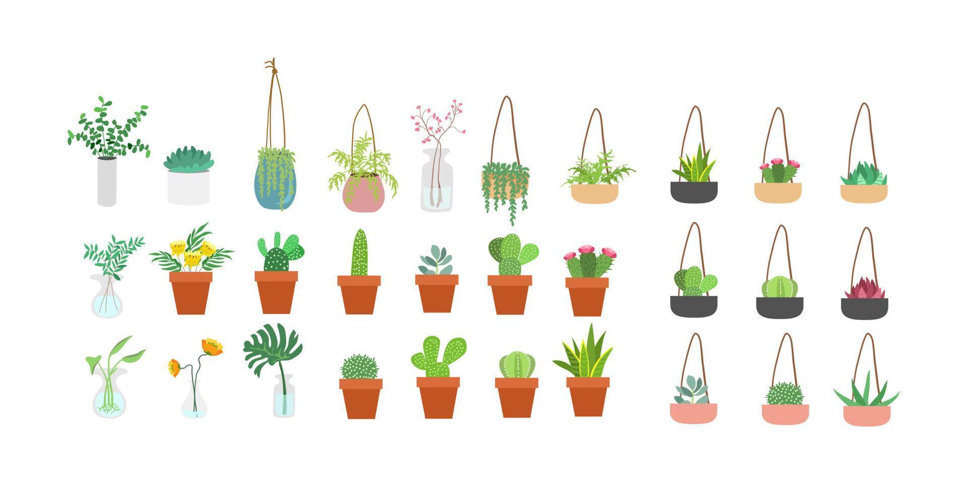 Conjunto de cactus y suculentas. Lindo cactus verde en macetas vector dibujado a mano aislado. ilustración