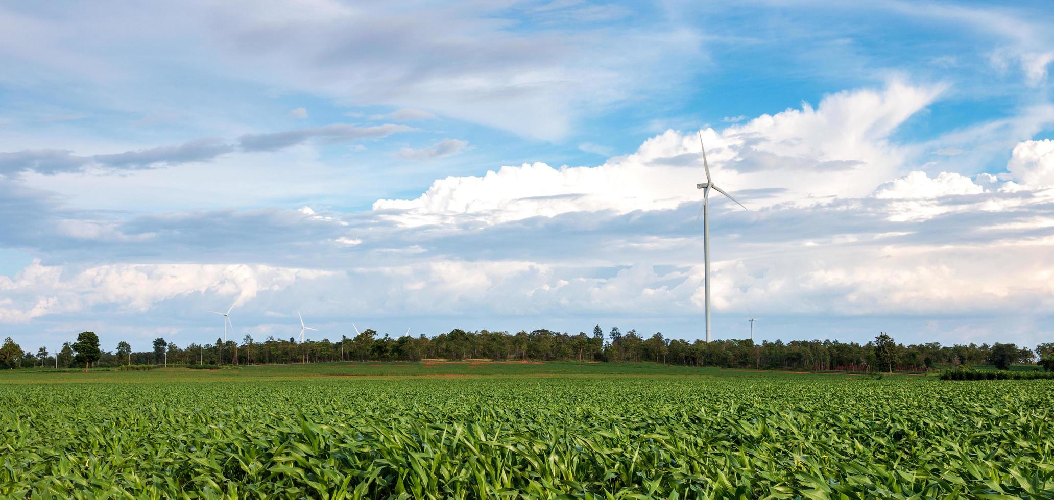 In agricultural areas there are large wind turbines photo