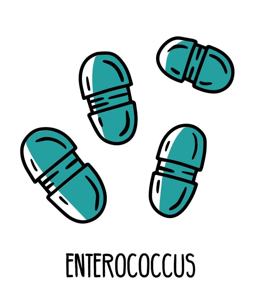 Enterococcus lactic acid pathogen bacteria in the human intestinal microflora, vector illustration. Microbiota of the digestive tract.