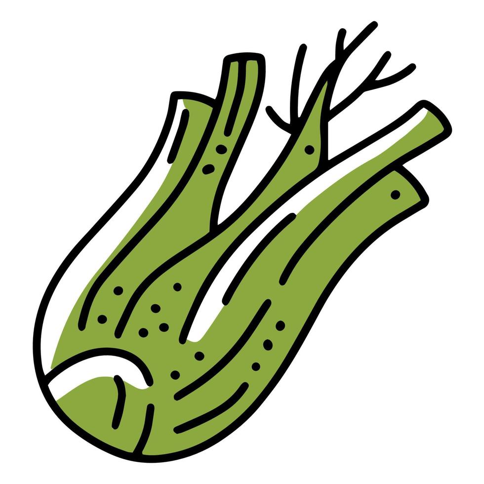 Hinojo o apio vegetal, icono de vector lineal en estilo doodle