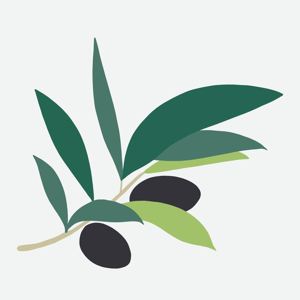 doodle freehand sketch drawing of olive fruit. vector