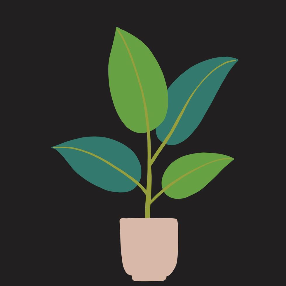 simplicity rubber fig plant freehand drawing flat design. vector