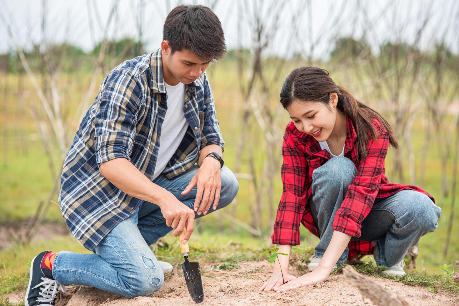 Men and women help grow trees. photo