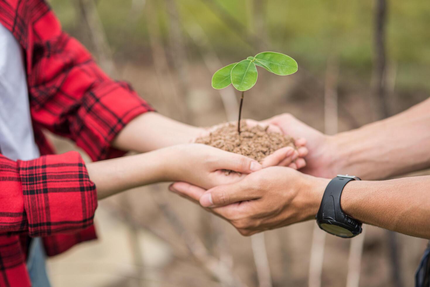 Men and women standing and holding saplings. photo