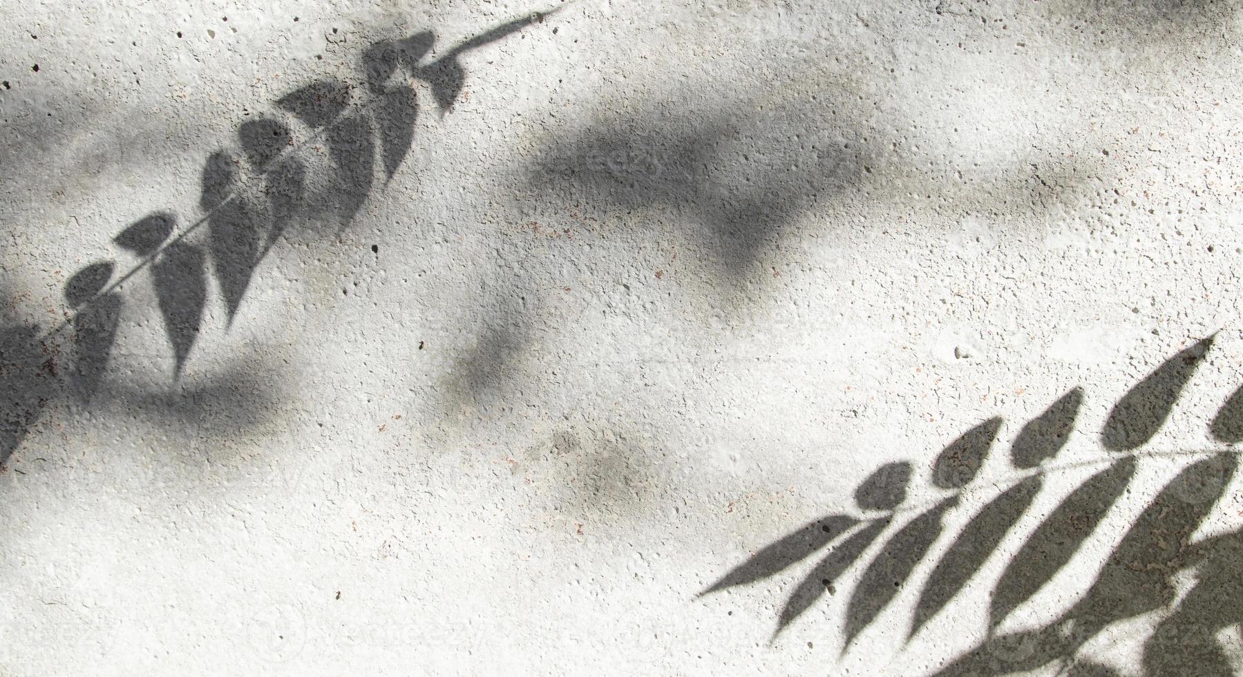 Shadows of twigs of plants on concrete wall on a bright sunny day. Nature creative background photo