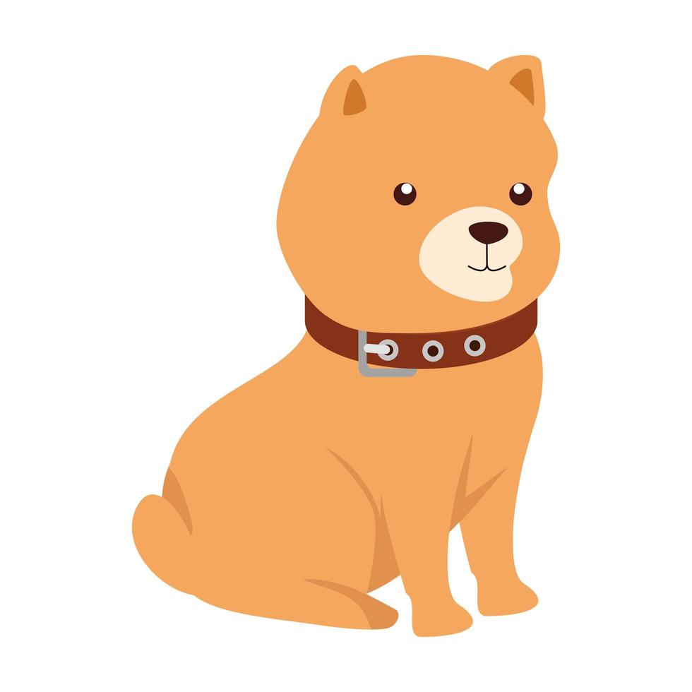 cute dog animal isolated icon vector