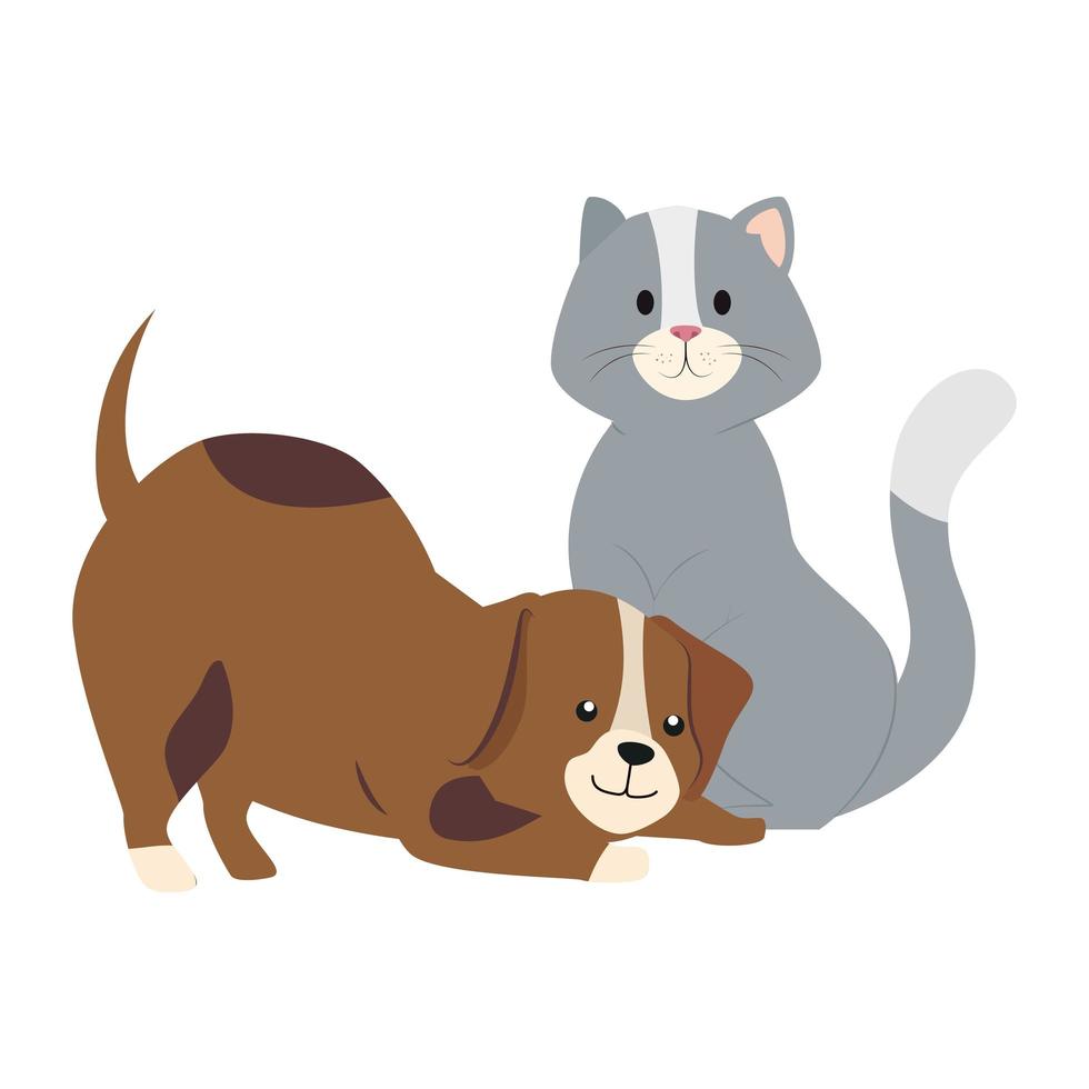 Lindo gato y perro animales icono aislado vector