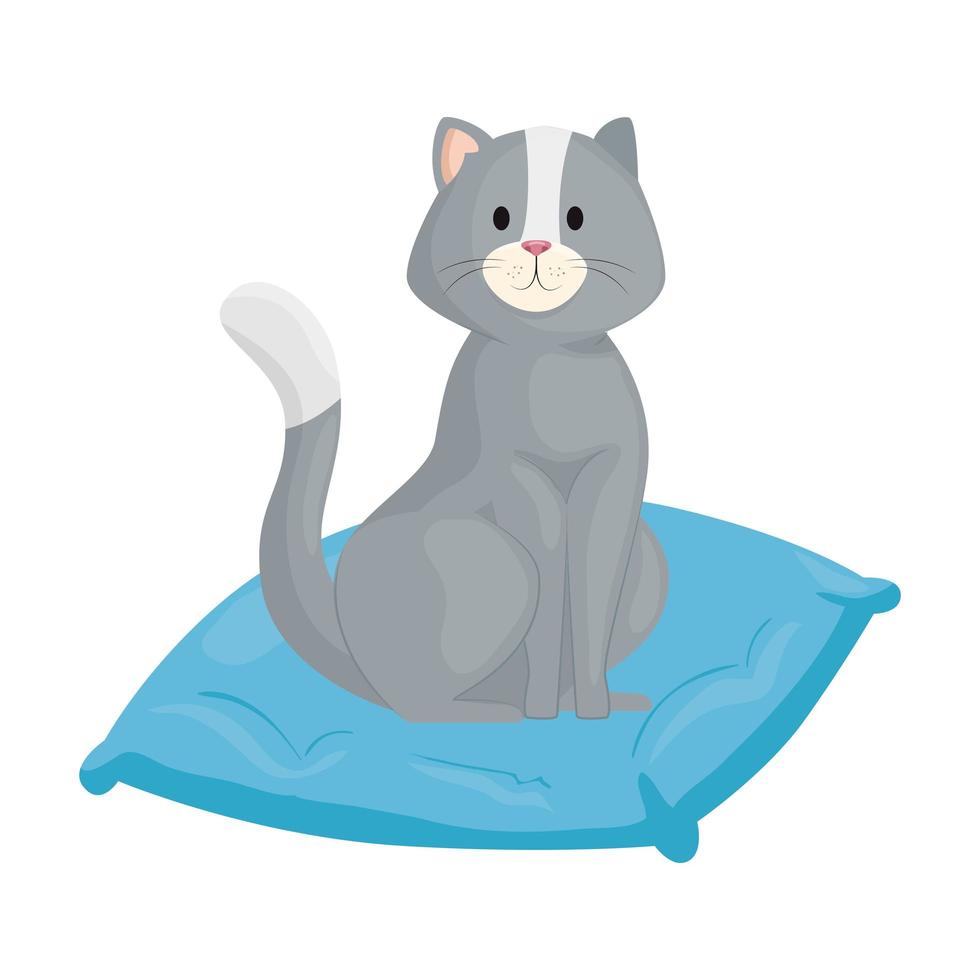 Lindo gatito en cojín icono aislado vector