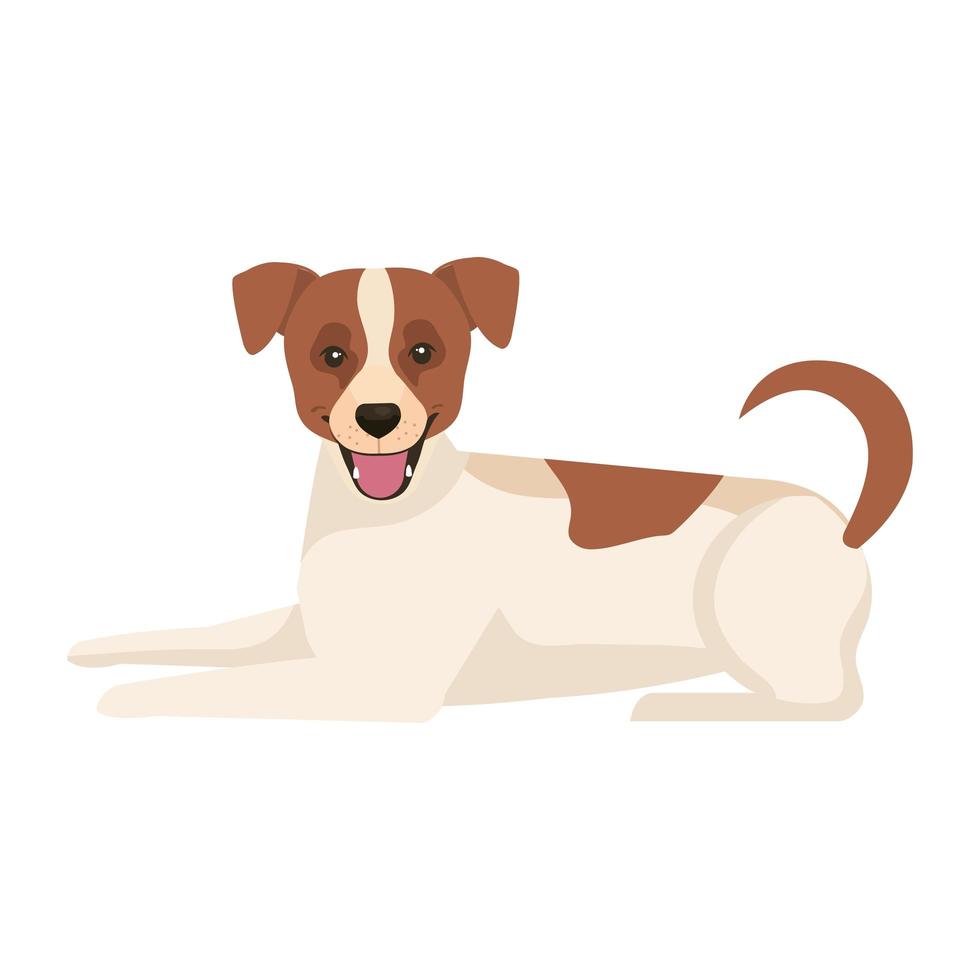 Perro blanco con icono aislado manchado marrón vector