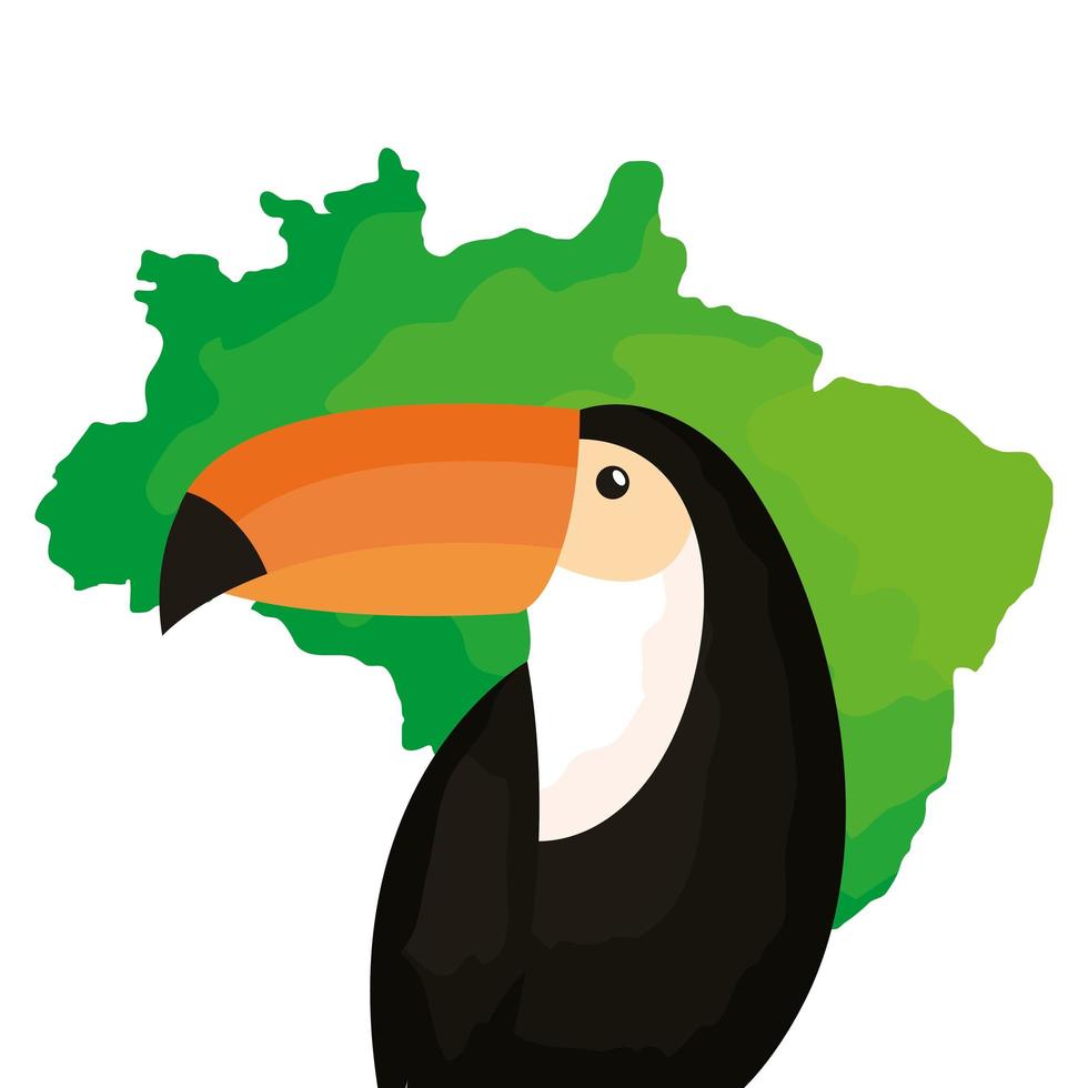 toucan animal exotic with map of brazil vector