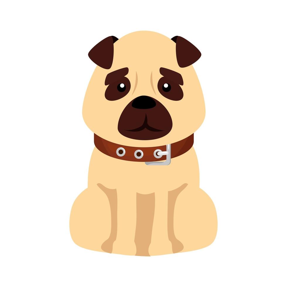 lindo perro animal icono aislado vector