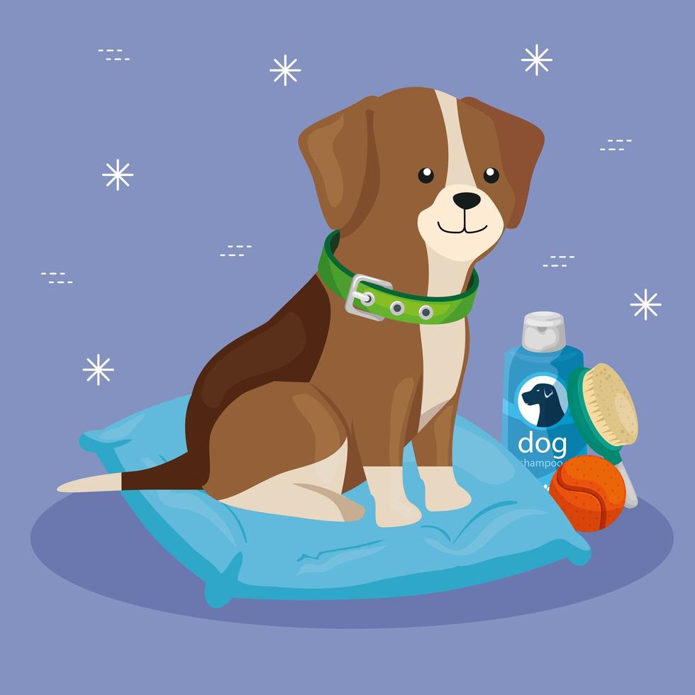 cute dog with cushion and icons for care vector
