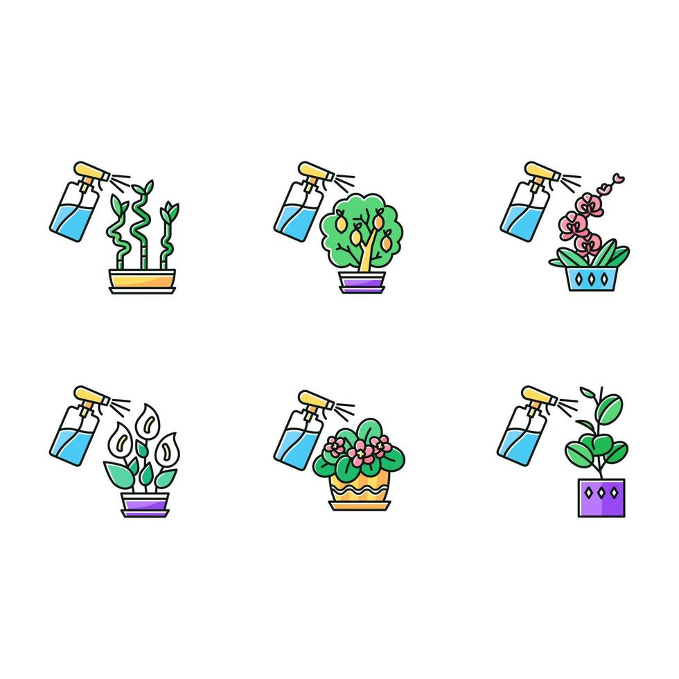 Spraying domesticated plants RGB color icons set. Houseplant caring. Indoor gardening. Watering miniature trees and flowering plants. Isolated vector illustrations