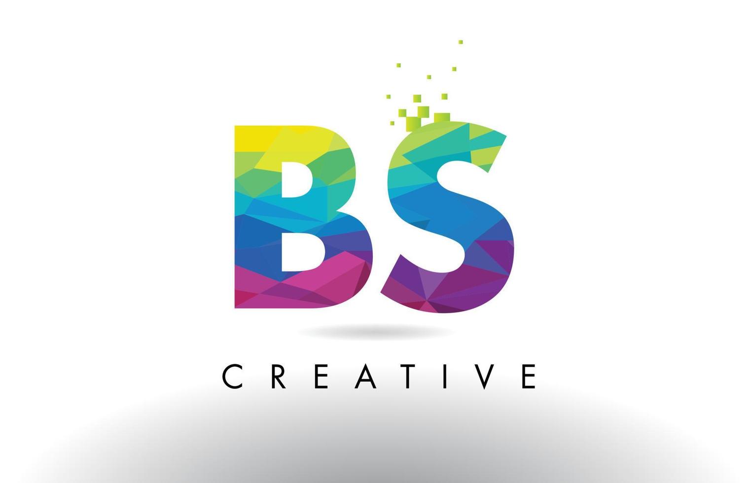 BS B S Colorful Letter Origami Triangles Design Vector. vector