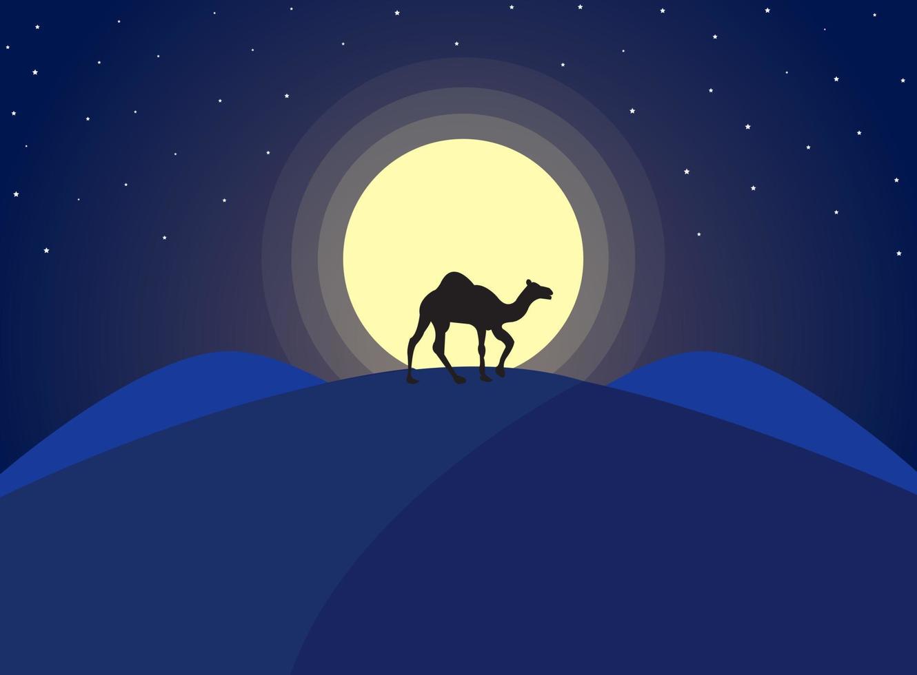 The night of the desert. The walking camel vector