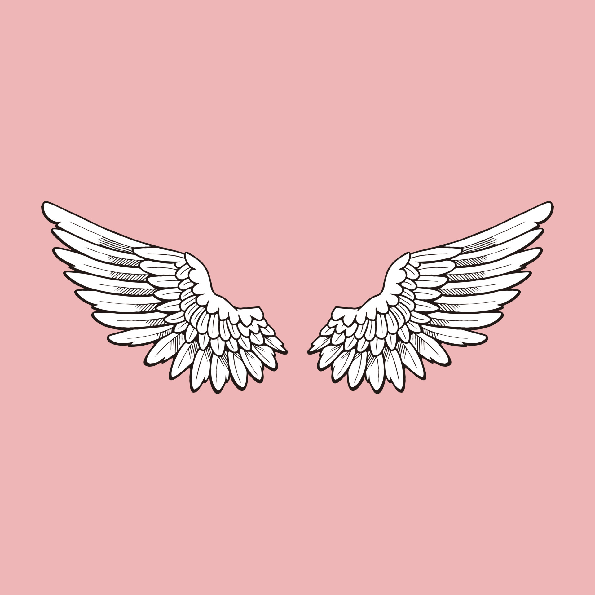 wings open with black and white illustration design 4844005 Vector Art at Vecteezy