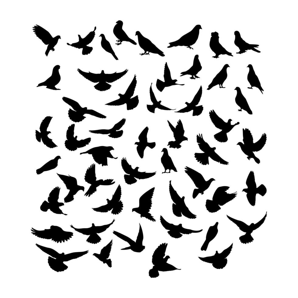 Dove peacemaker silhouette, vector. Dove illustration, symbol of peace. Flying dove holding branch isolated on white. Flying bird silhouette. Art design, artwork, wall decals. Greeting card design vector