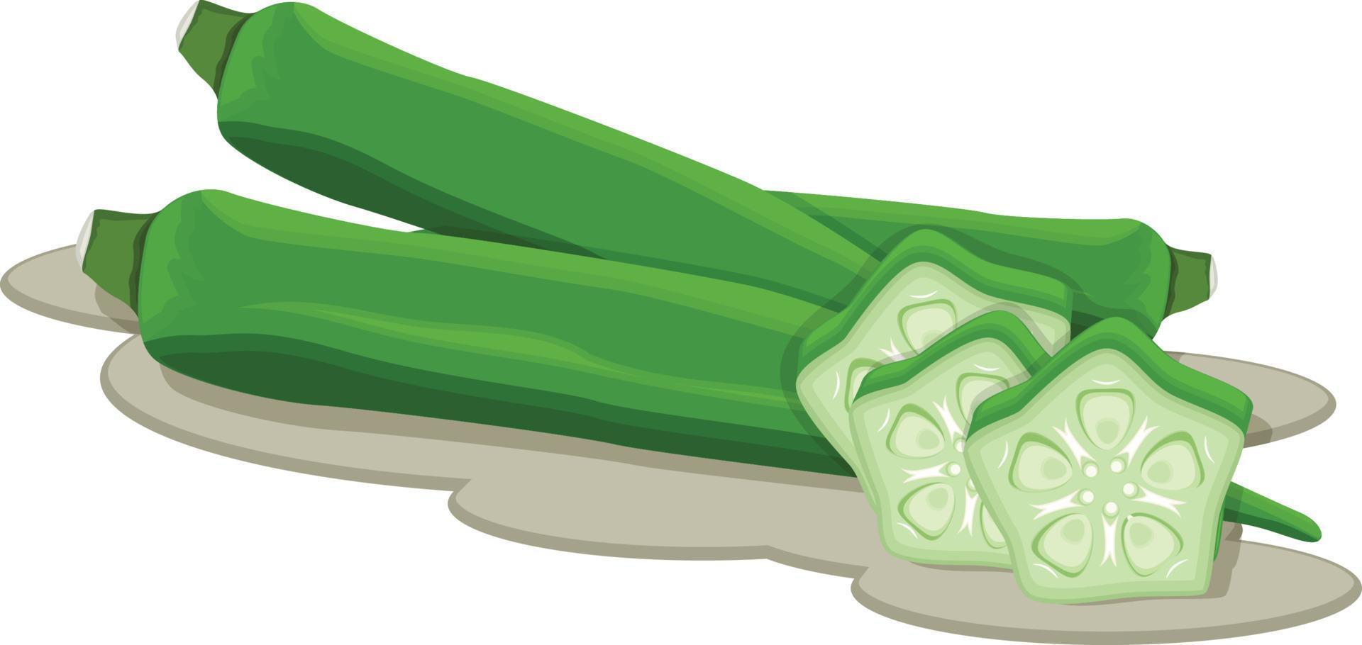 Ladyfinger with piece isolated fresh vegetable vector