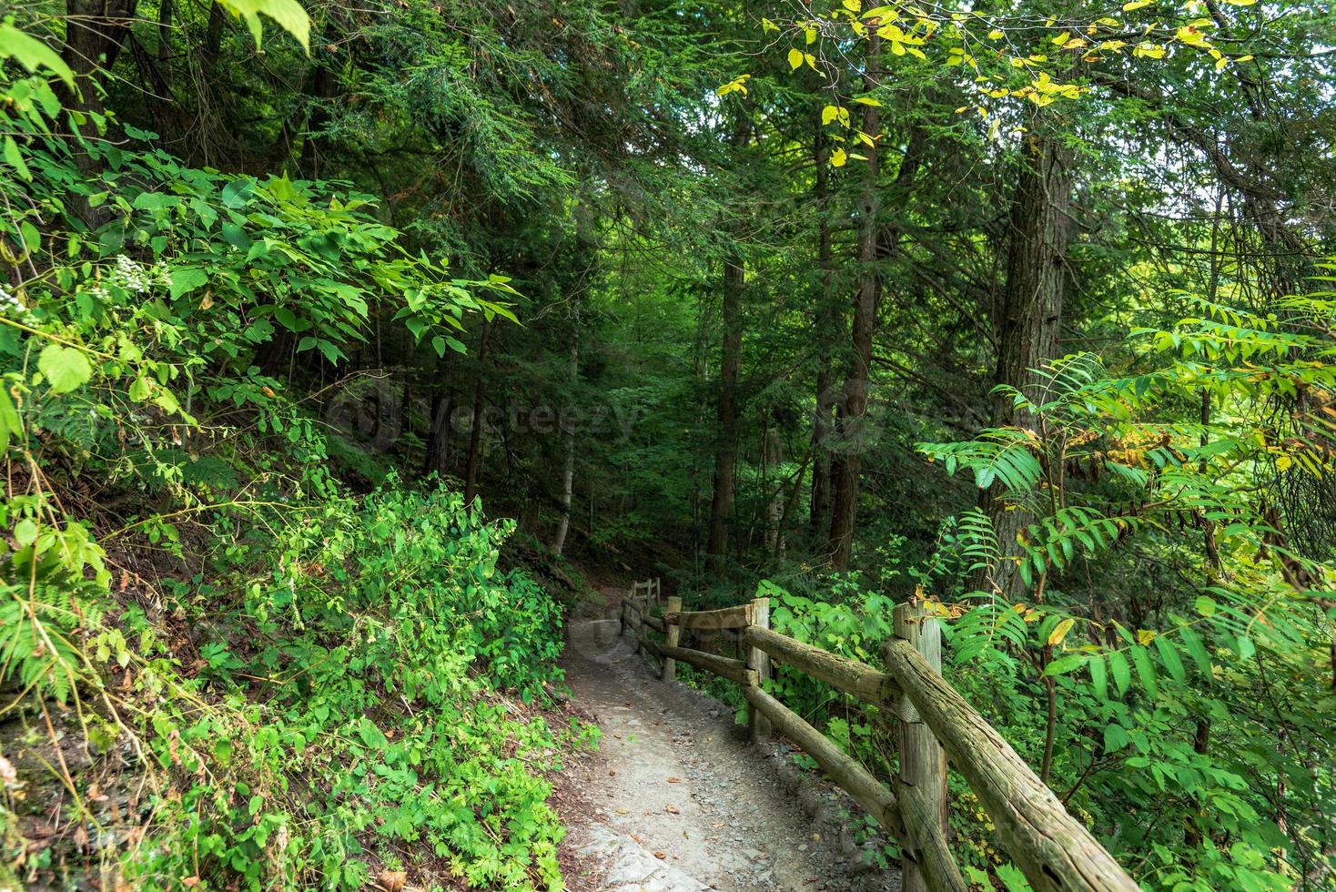 sendero del desfiladero del parque estatal robert h treman foto