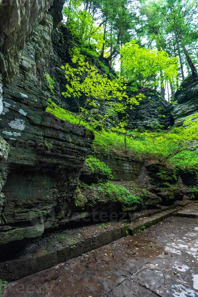 Robert H Treman State Park Gorge Trail photo