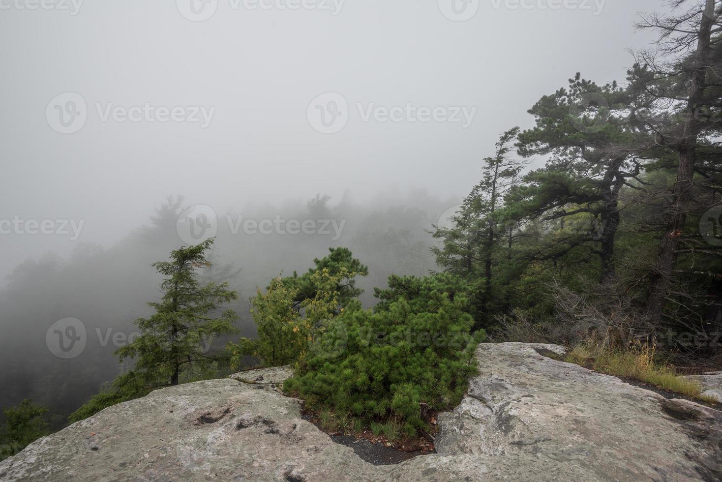 Fog Over the Lake Minnewaska photo