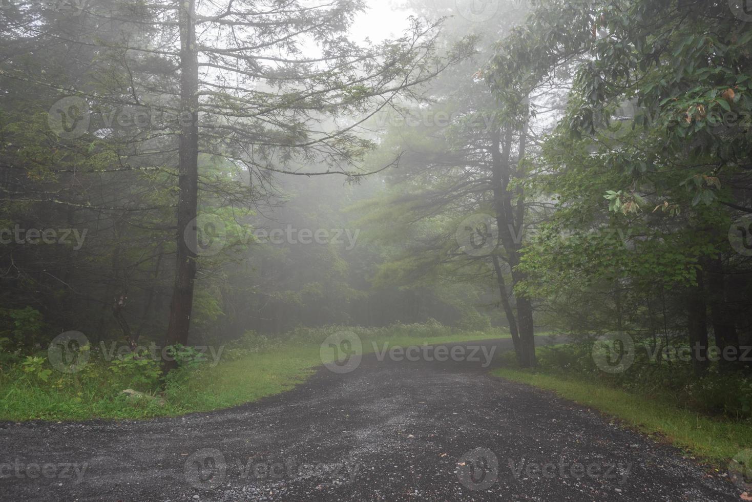Fog Over the Lake Minnewaska photo