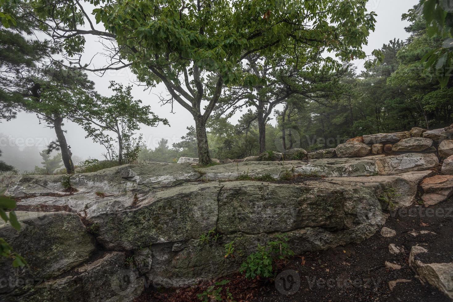 Fog Over the Lake Minnewaska photo