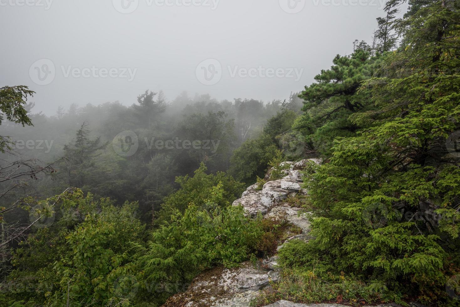 Fog Over the Lake Minnewaska photo