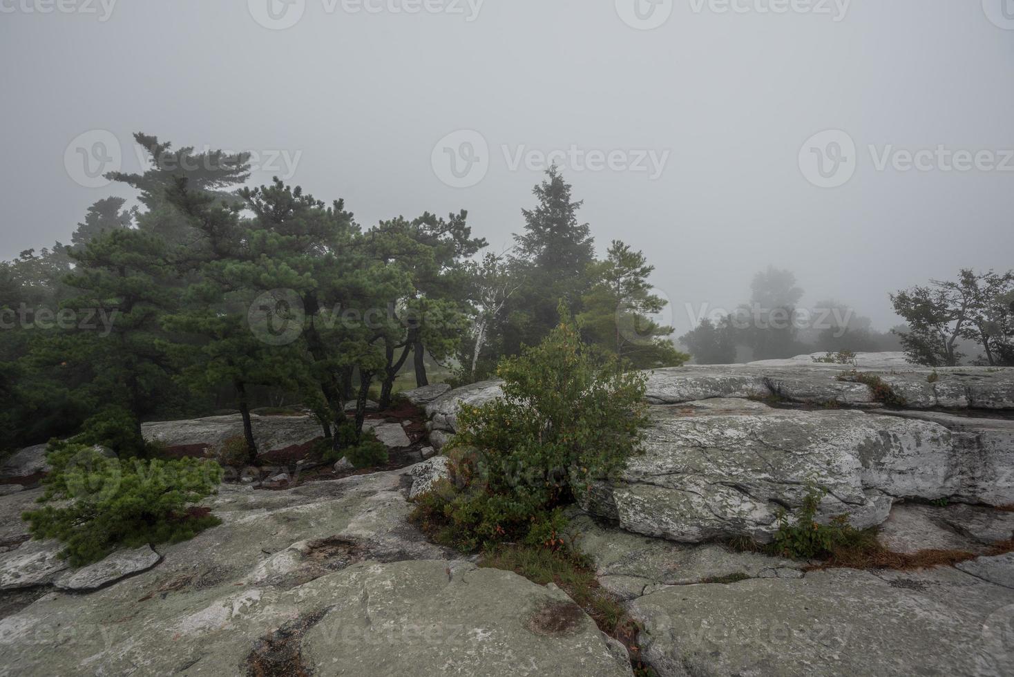 Fog Over the Lake Minnewaska photo