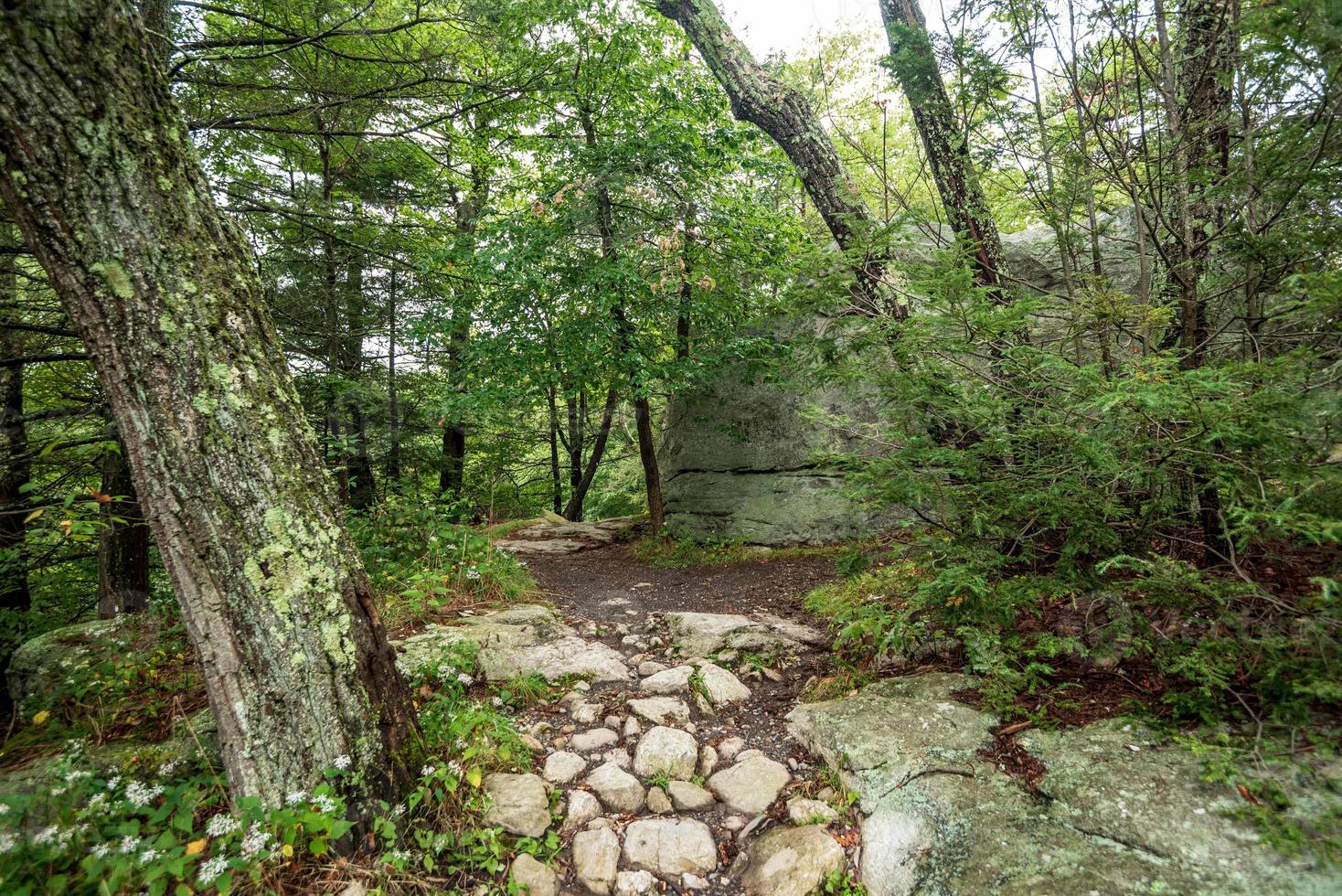 Fog Over the Lake Minnewaska photo