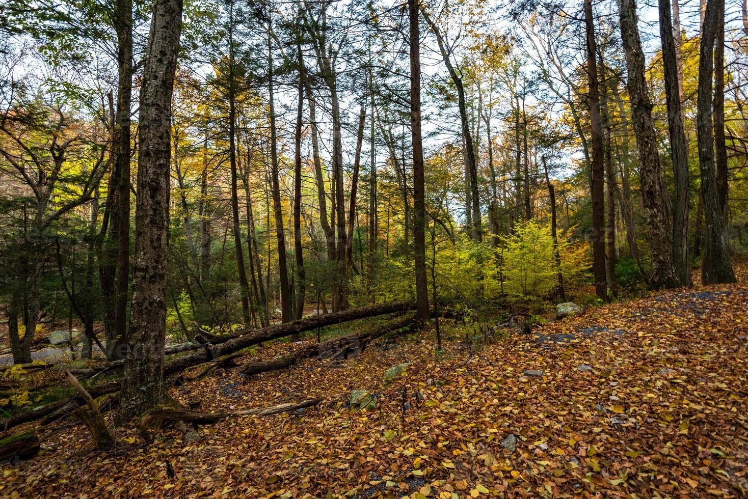 Autumn on Lake Minnewaska photo