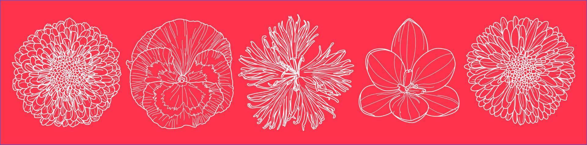 Set of five fall flowers outlines art in top view shot vectors against on magenta wallpaper