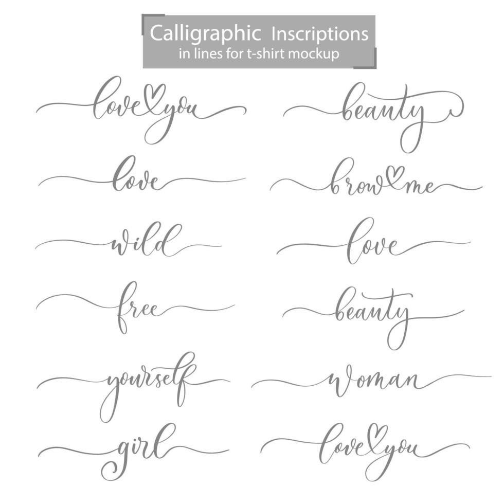 Calligraphic inscriptions for t-shirt design and mockups. vector