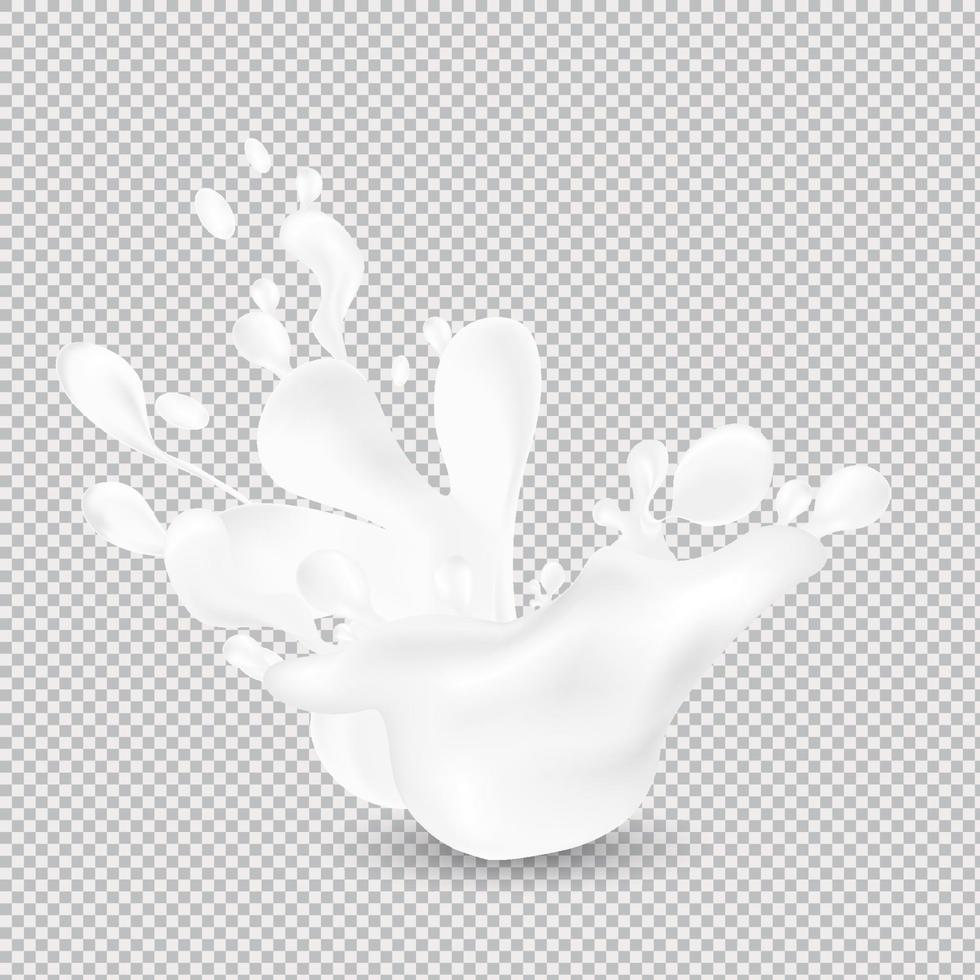 Milk splash. Realistic milky splashes and drops of dairy drink or yoghurt isolated on transparent background. vector