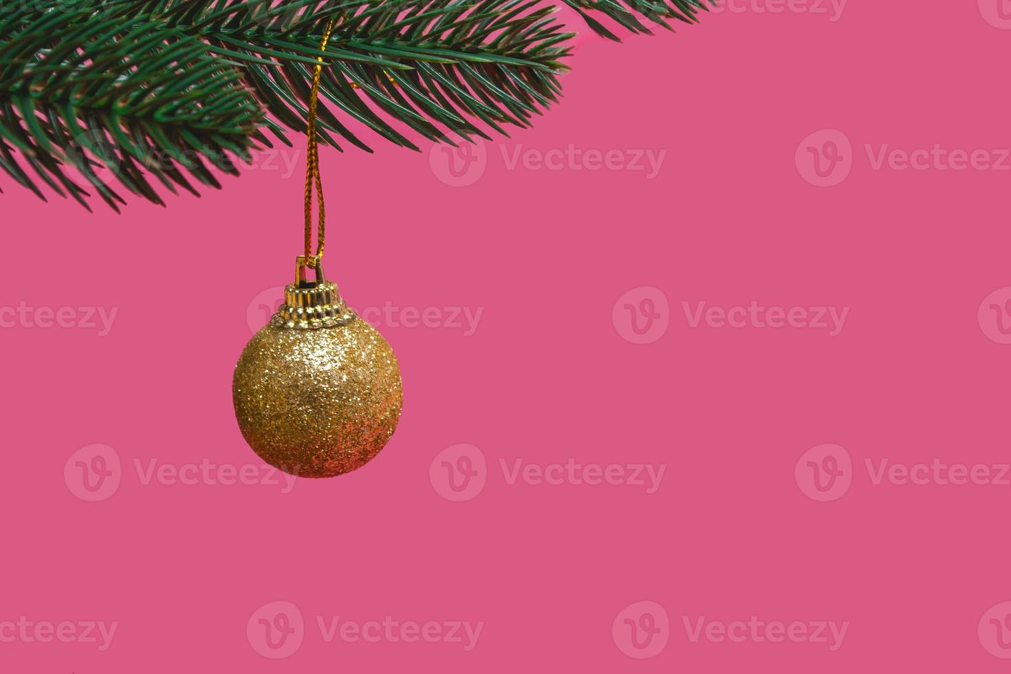 Festive golden ball on a branch of a Christmas tree isolated on a pink background copy space photo