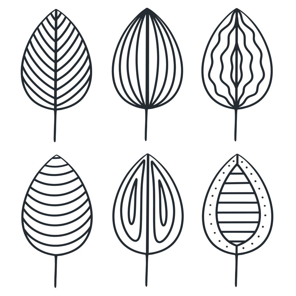 Leaf set in doodle style isolated vector illustration