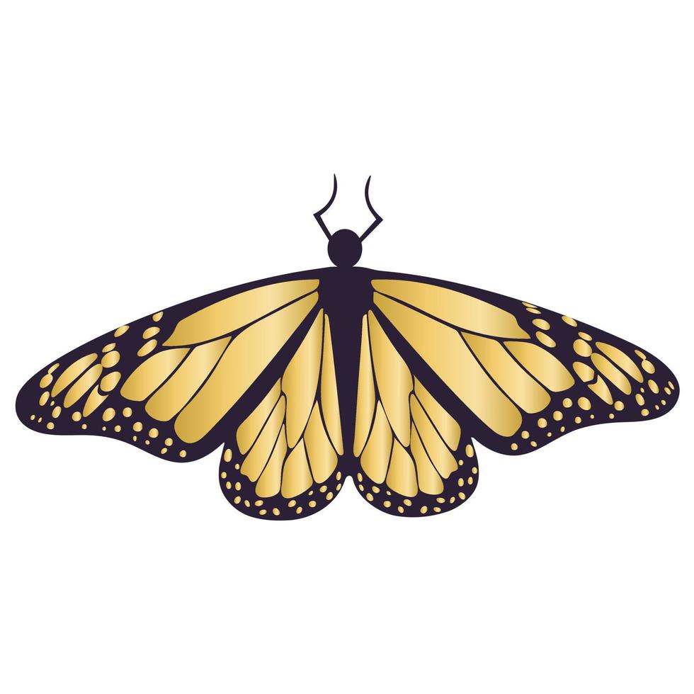 Gold butterfly isolated vector