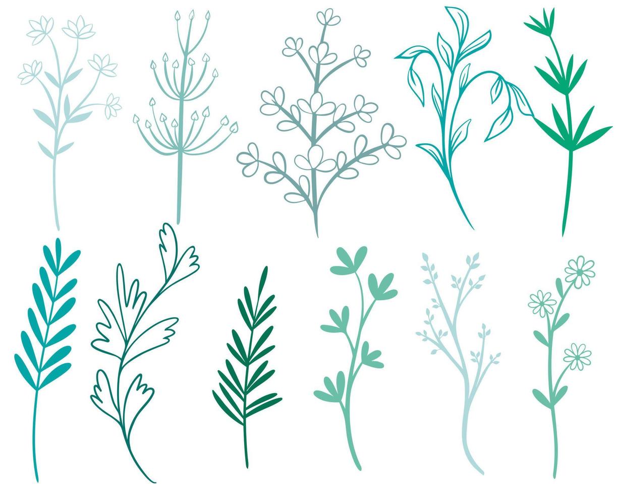 Greenery set isolated vector illustration