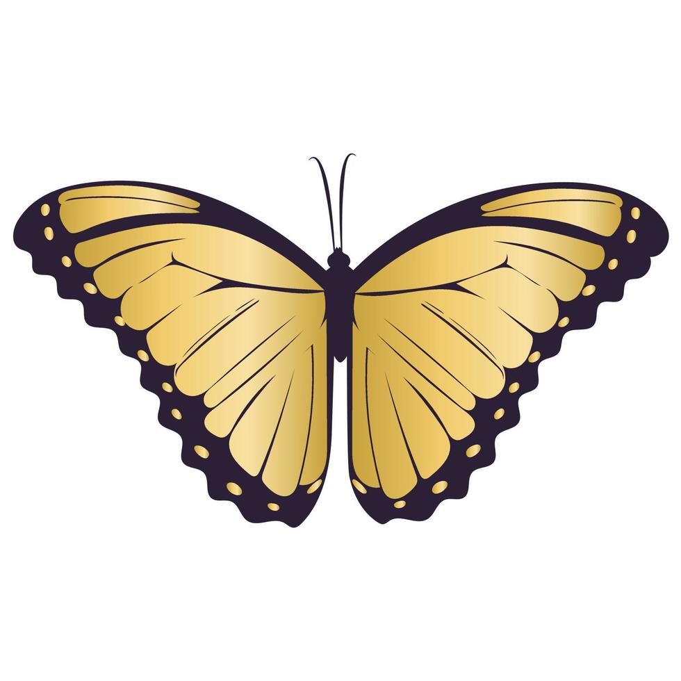 Beautiful symmetrical golden butterfly isolated vector illustration