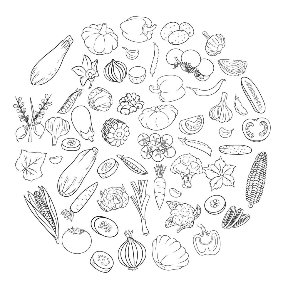 Vector vegetables icons in line style.