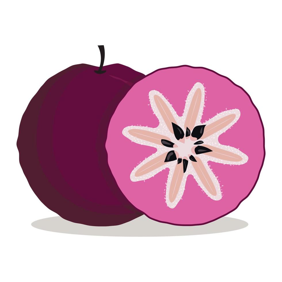 whole and slice of deep purple star apple, round plum, tropical exotic fruit vector