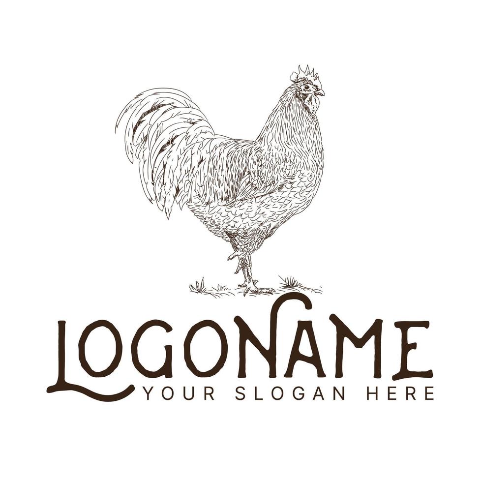 Chicken rooster cock farm logo design template vector