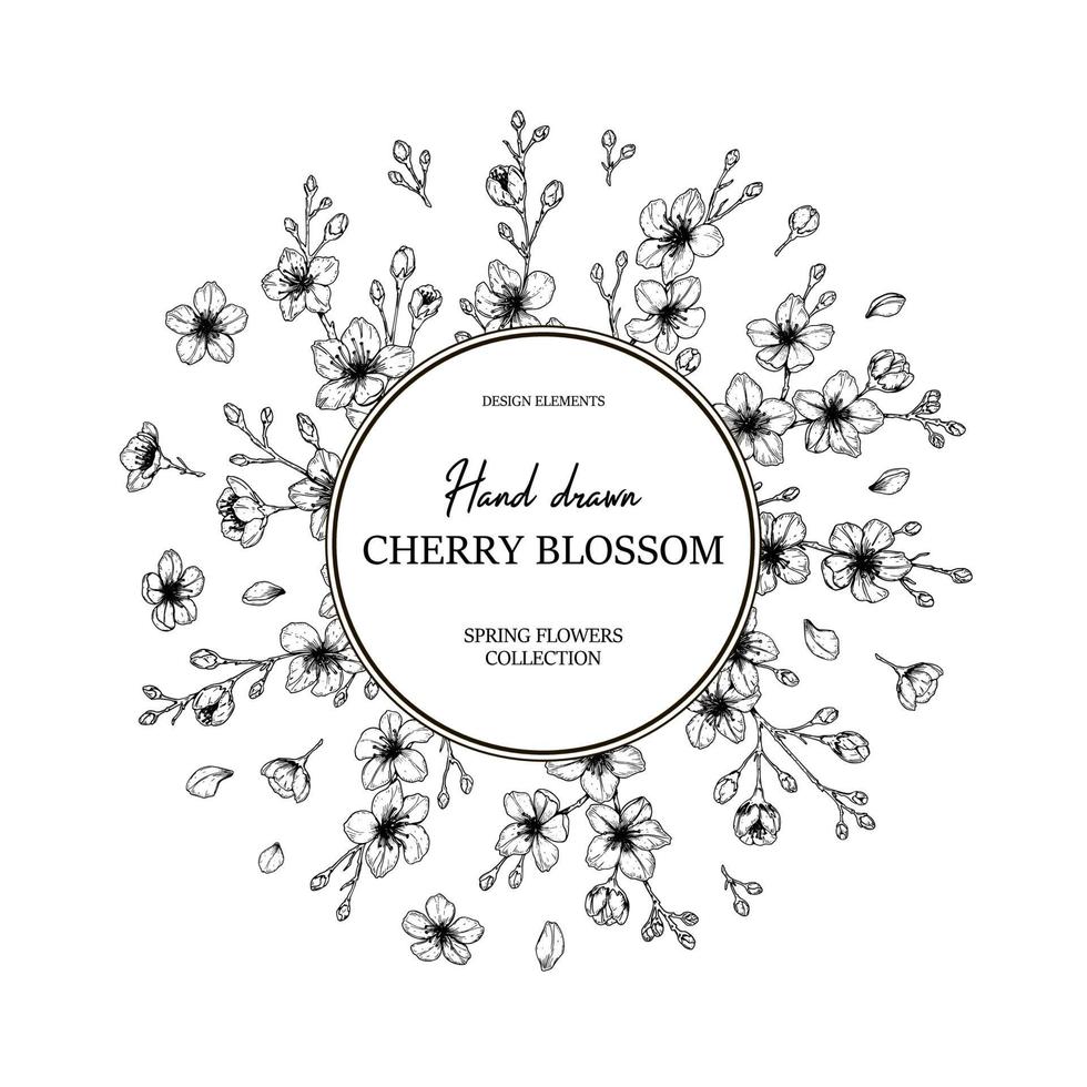 Floral circle frame with hand drawn spring cherry blossom in sketch style. Spring design for cards, banners, letters, invitations. Place for text vector